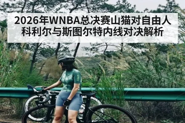 2026年WNBA总决赛山猫对自由人科利尔与斯图尔特内线对决解析